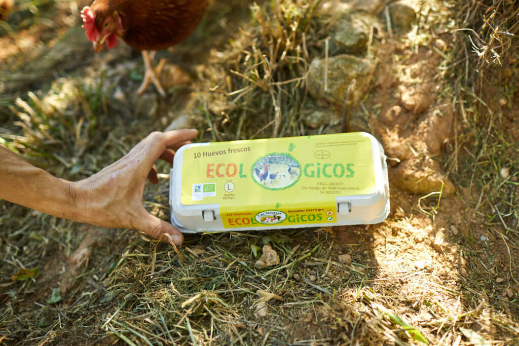 Huevos ecológicos